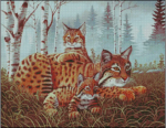 (image for) Bobcat and Cubs